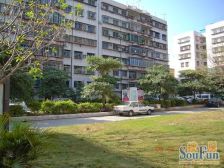 【西溪花园】| 厦门市同安区西湖嘉园66号地下一层第B11033号车位