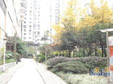 巴渝世家 1室1厅 西