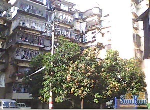 轻安公寓