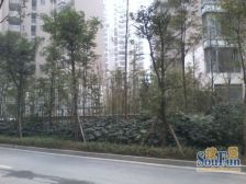 时代晶科名苑 2室2厅 南