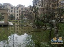 橄榄郡 3室1厅 东