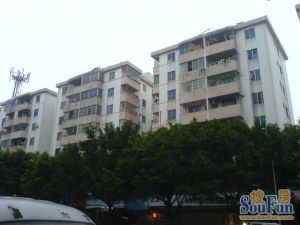 你听过吗伦教有免物业管理费的房子还是70年产权住宅
