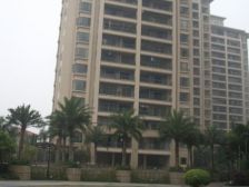 佛山奥园 6室2厅 南