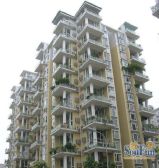 罗浮世家二期 3室2厅 东南