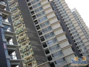 新迎电梯次新小区东南向一室一厅一卫