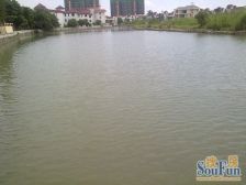 福海湖中湖花园带花园靠边位,位置好看房方便