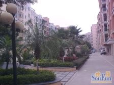 房子保养得好,格局好,采光充足,南北通风