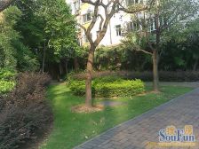 怡景丽苑 步梯中低层 小区中间南北对流,房东诚心卖