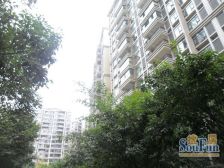 中海龙湾半岛 3室2厅 东北