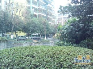 大华情融苑3室2厅东