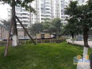 金林俊景2室1厅东南