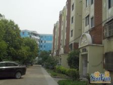 独栋小区好位置,无遮挡,可停好几辆车,大花园