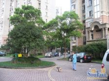 近地铁精装现场实勘无抵押,业主诚意