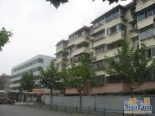 车站新村,电梯房,朝南带阳台,近地铁上海西站