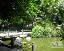 鹭岛国际一二期 3室2厅 南