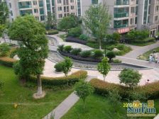 流连忘返的复式洋房大露台养花这空气好喝茶种花很歉意