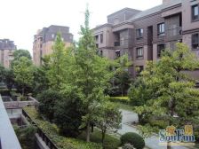 近地铁 电梯房 无抵押,精装 必看好房