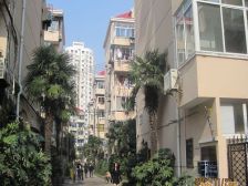 一楼带花园,采光无遮挡目前只有一套