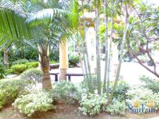 虎门门公园旁,双地铁物业,精装修保养好,业主急售