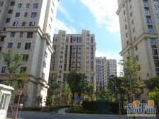 新上样板房装修 边套全明户型 业主诚意出售随时看房