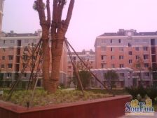 新南3期2010年 毛坯大两居 中间位置好楼层无遮挡