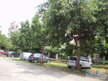 紫荆花园三期电梯两房 户型方正实用