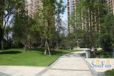 建发天府鹭洲 1室1厅 南