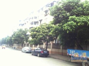 金科苑中街54号2室1厅南北