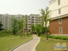 叶城五街坊,精装大四房三厅两卫,装修拎包入住