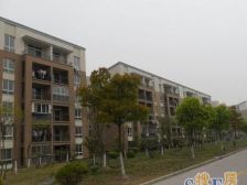 婚房装修 楼层好 小区花园位置 看房随时