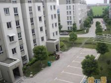 满五 唯 一+总价低+中间楼层+视野采光好