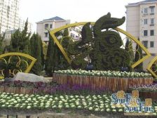 D家销售,带露台 12平米地铁6号线上南路站350米