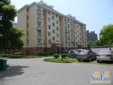 三林·三林世博家园-大道站路94弄·1室·1厅