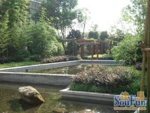 中江佳境天成1室0厅南