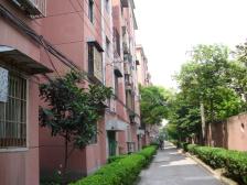 经典飞机三房+1号线地铁200米+小区中间位置+业主诚售