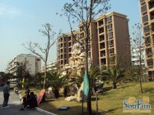 业主砸盘价,价格客户说了算,81平四楼不要设限,好谈