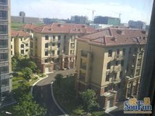 新上卡园旁精装双南大两房凤凰楼层花园位置看房随时有钥匙