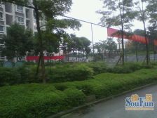 回兴 小小岛三房75万