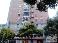 老外街旁 复式洋房 一梯两户 低密度洋房社区