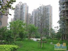 三林商圈地铁口优质电梯三房诚意出售