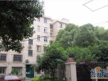 莘松九村大4房,户型很好,采光佳,1998年房子质量好