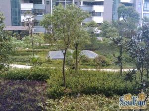 业主急售。小区交通便利、教育医疗配套齐全