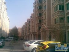 新港城 四室两厅两卫 南北通透 位置好 采光好