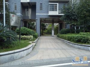 红区抽屉1室1厅南