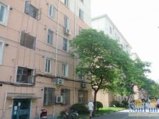 莘松三村,精装修,采光好,看房方便!