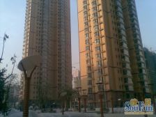 东岗东路 东欧逸璟 小户型