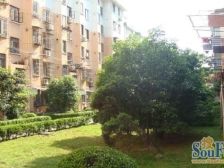 中间楼层 精装 产权清晰,急售房源