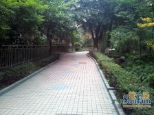 锦城花园3室2厅东北西南