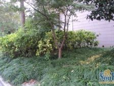 2001年电梯两卫 电梯中层 诚意出售 看房联系