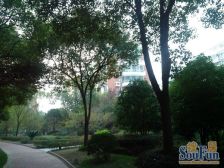 天安花园 面积大 带电梯 好楼层 采光好 遇见有缘人